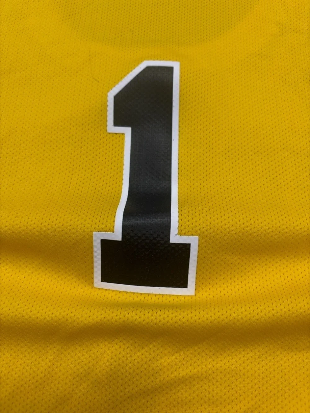 Jordan michigan wolverines